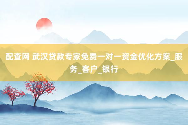 配查网 武汉贷款专家免费一对一资金优化方案_服务_客户_银行