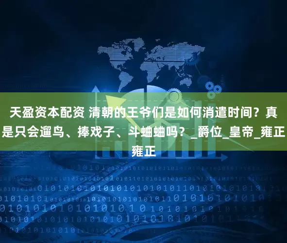 天盈资本配资 清朝的王爷们是如何消遣时间？真是只会遛鸟、捧戏子、斗蛐蛐吗？_爵位_皇帝_雍正