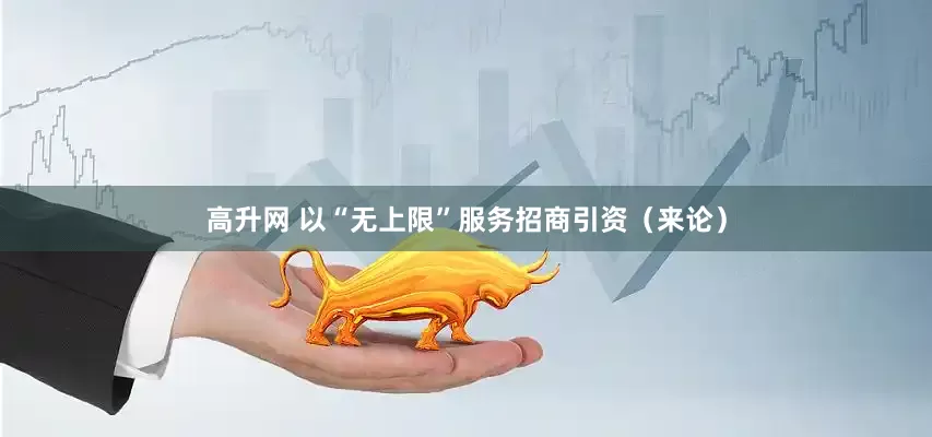 高升网 以“无上限”服务招商引资（来论）