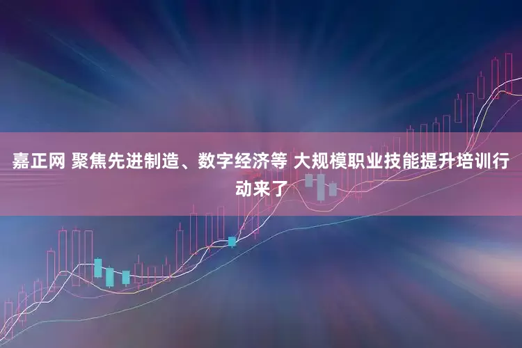 嘉正网 聚焦先进制造、数字经济等 大规模职业技能提升培训行动来了