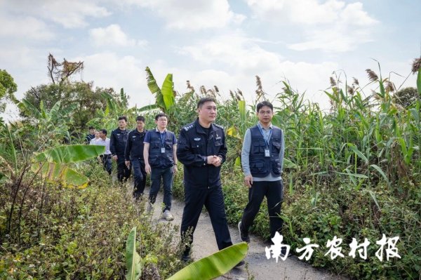 聚美策略 广东出台保护鸟类方案 六大任务筑牢生态屏障